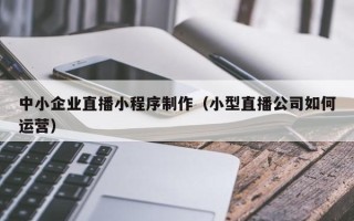 拉萨中小企业直播小程序制作（小型直播公司如何运营）