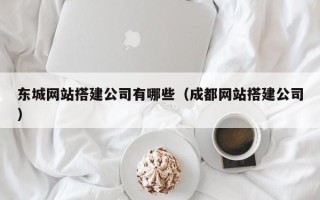 拉萨东城网站搭建公司有哪些（成都网站搭建公司）