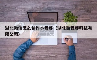 拉萨湖北微信怎么制作小程序（湖北微程序科技有限公司）
